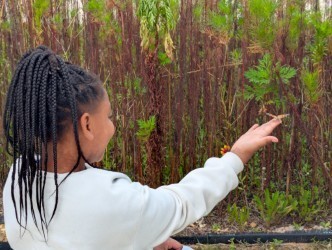 A student sets a butterfly free near our pollinator garden.