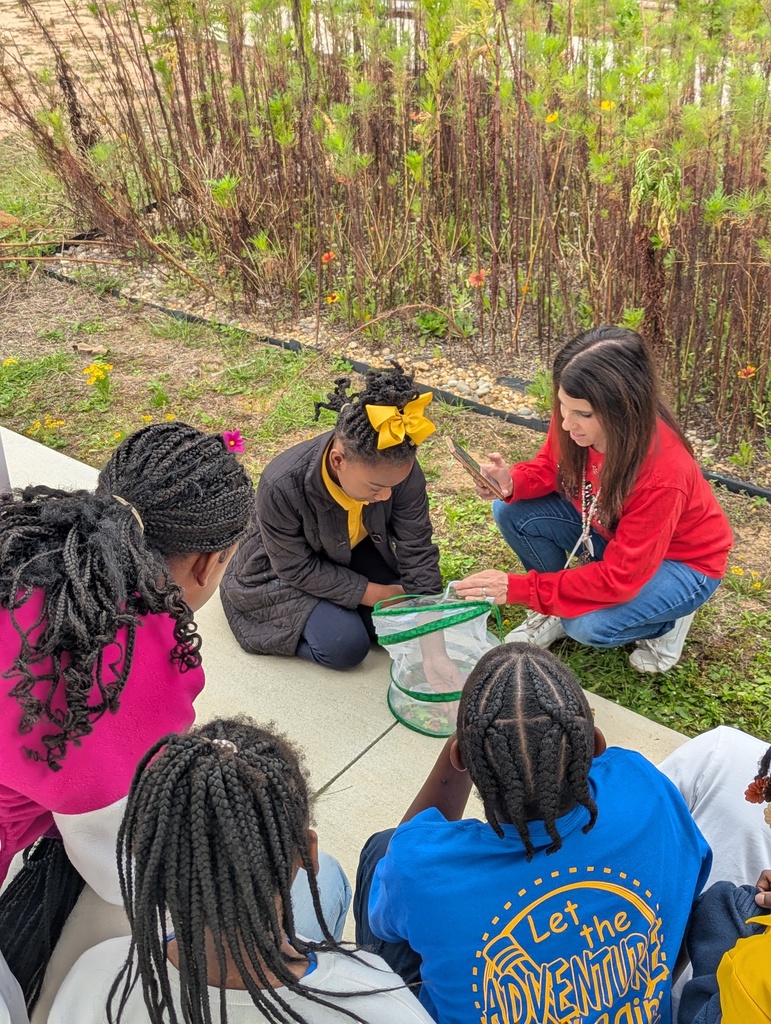Students look on as the teacher assists a student who is trying to set a butterfly free from the enclosure.