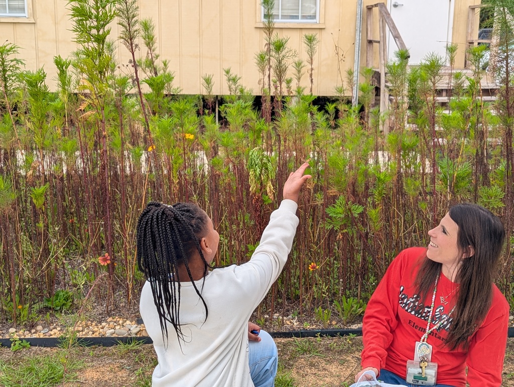 Teacher looks on as the student sets a butterfly free