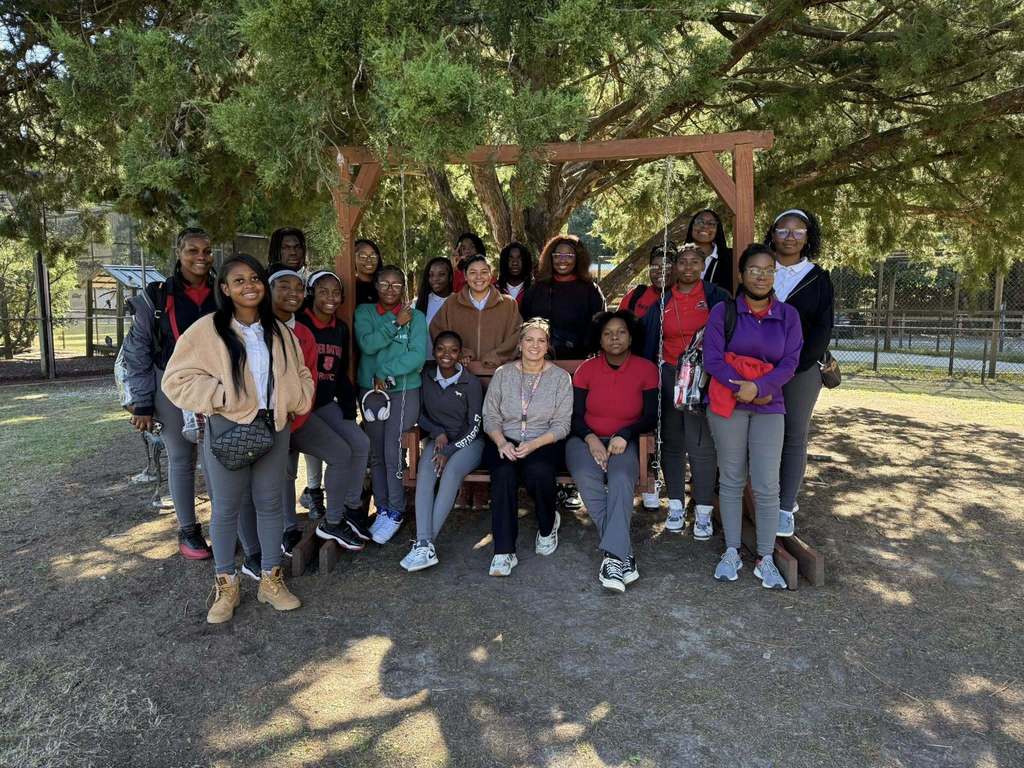 A group of students standing around an outdoor swing