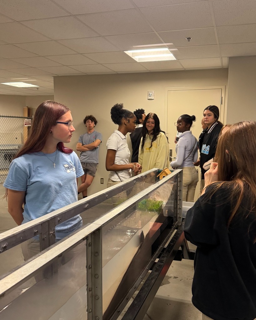 Students participating in Discovering Engineering Day at USA