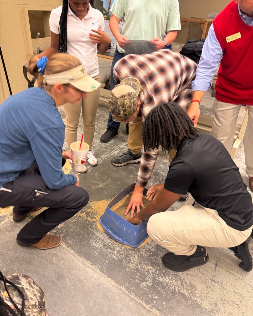 Students participating in Discovering Engineering Day at USA
