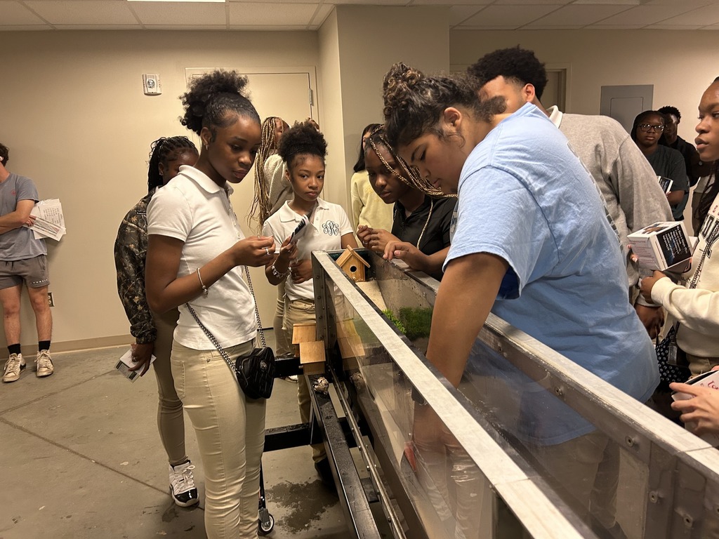 Students participating in Discovering Engineering Day at USA