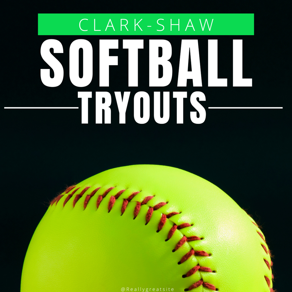softball tryout graphic- all information is listed in caption