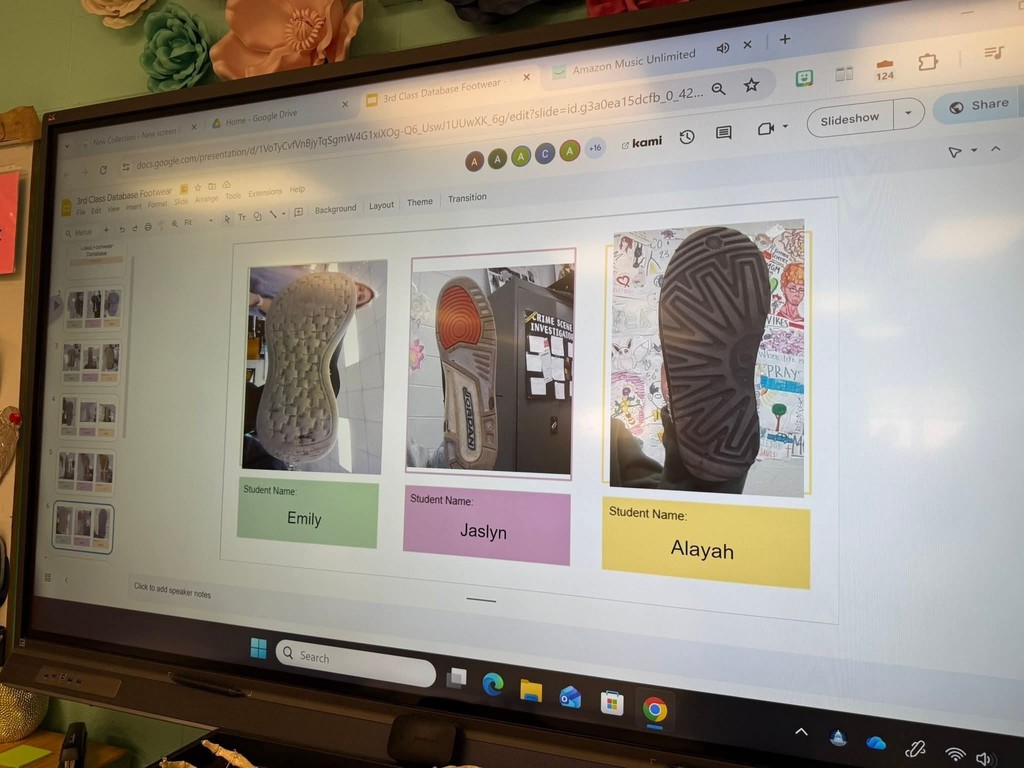 Photos of shoes in a class database
