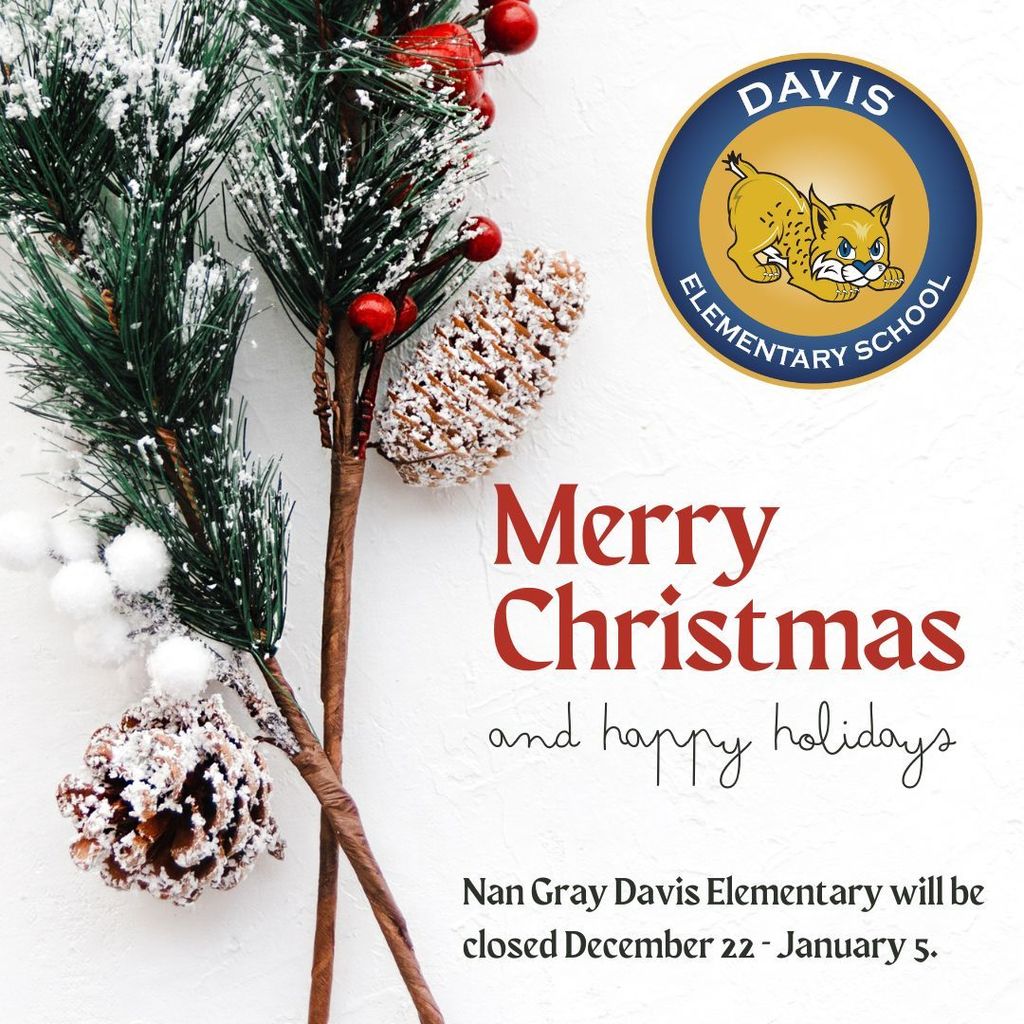 Merry Christmas from Nan Gray Davis