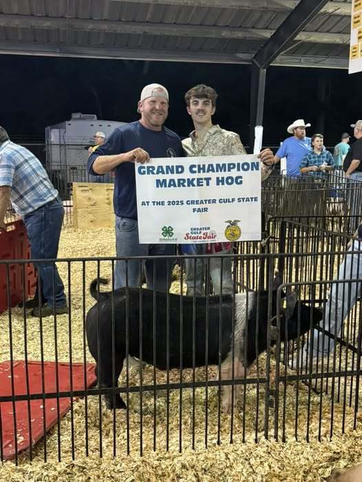 Two young men standing behind a hog, with a sign that reads "Grand Champion  Market Hog"