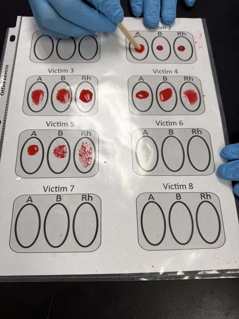 blood typing