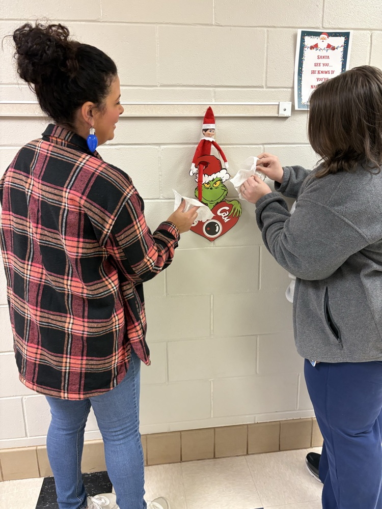 Christmas elf 2025 2