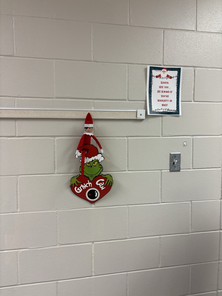 Christmas elf 2025 3