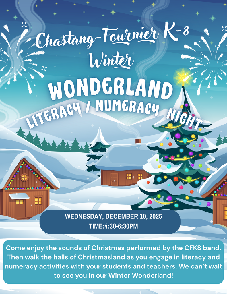 flyer with winter wonderland theme announcing the date and time of winter wonderland literacy/numeracy night