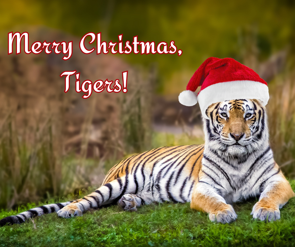 Merry Christmas Tigers!