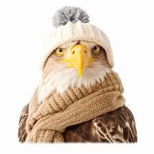 Warm Eagle