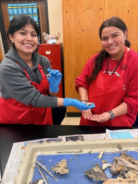 Marine Biology Dissection