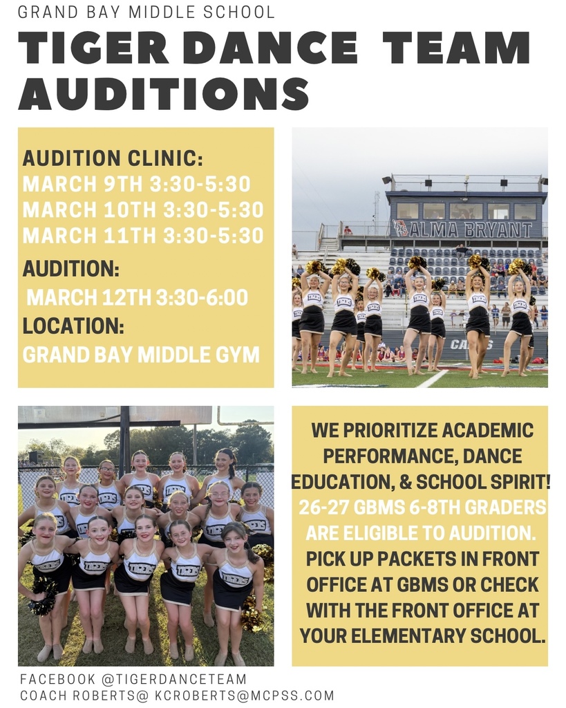 TDT Auditions