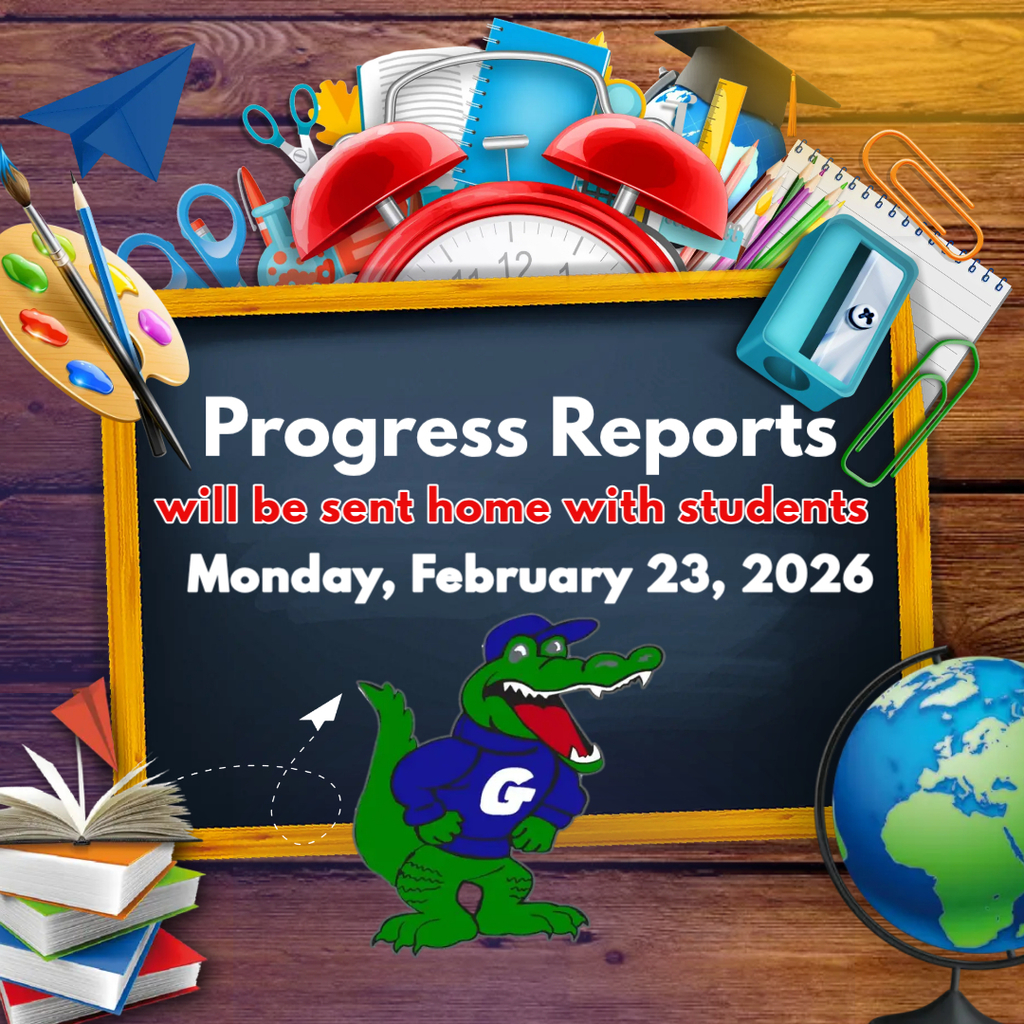 PROGRESS REPORT INFORMATION