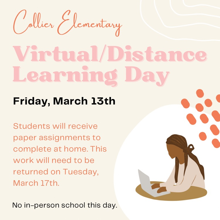 virtual day on March 13th