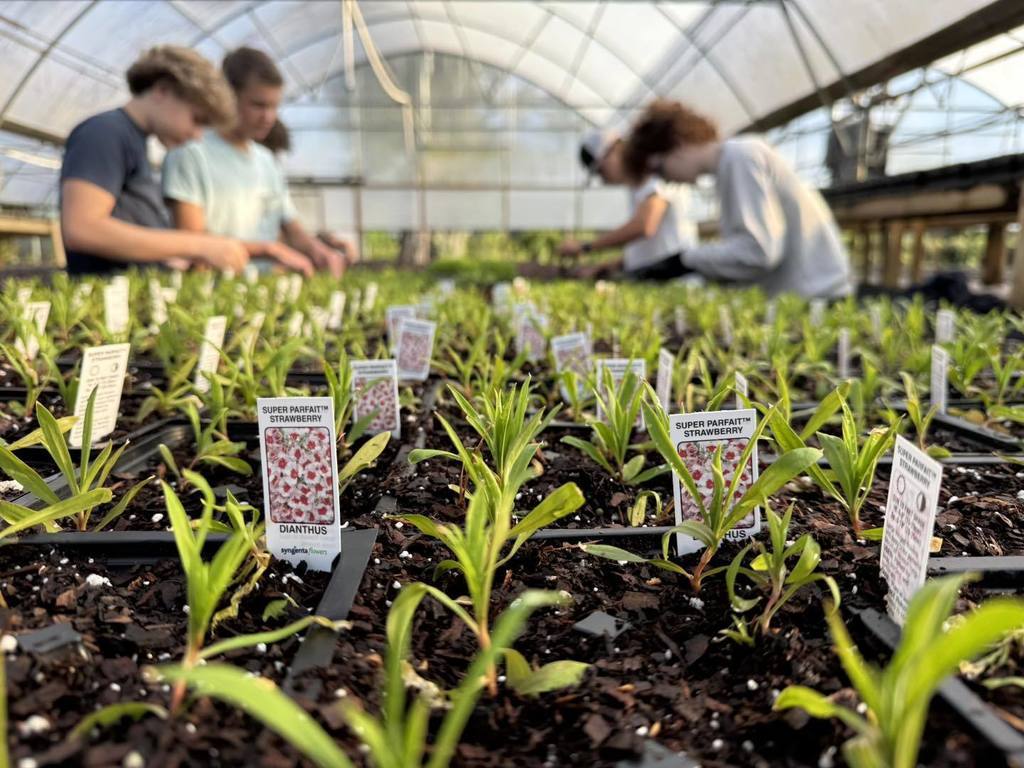 Students working in the greenhouses.