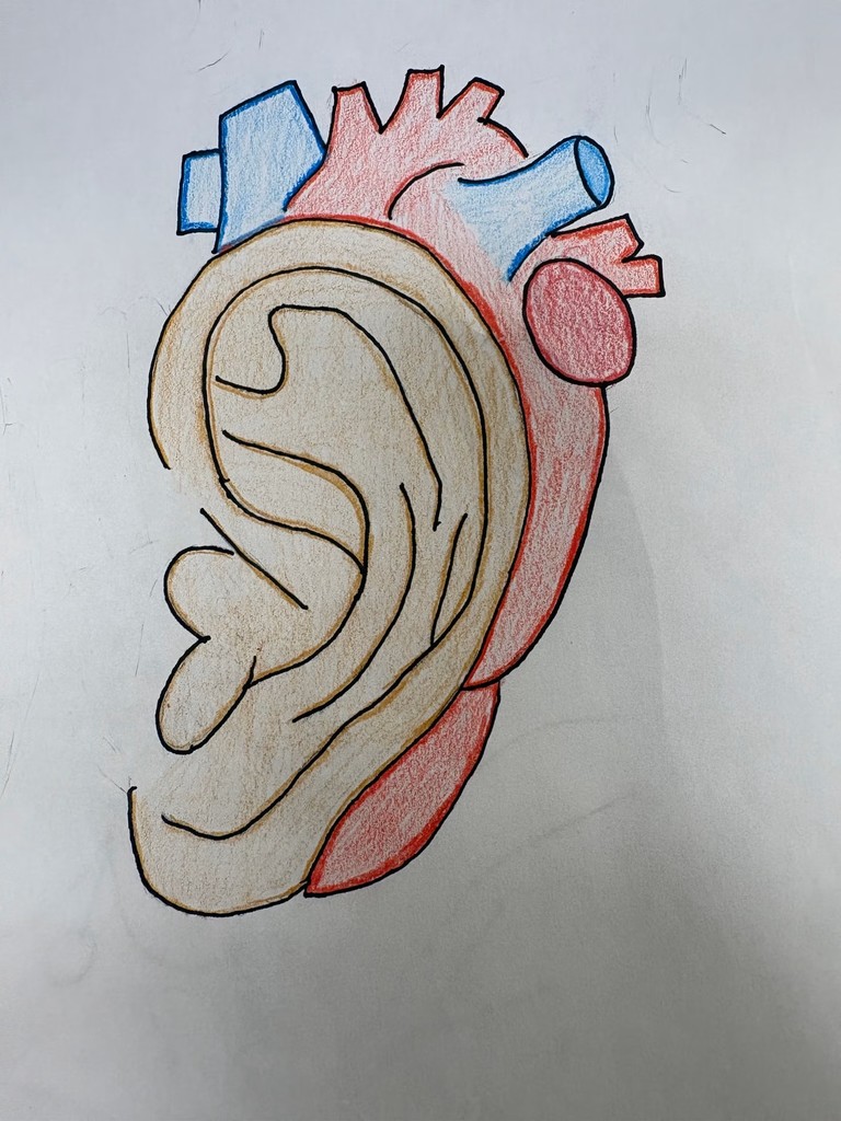 Surrealist Anatomical Heart Artwork