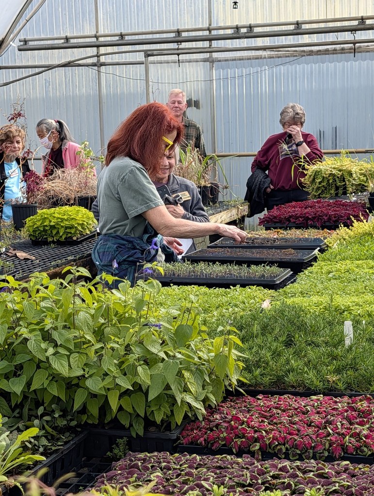 The Mobile County Master Gardeners  (MCMG) helping transplant seedlings and getting a closer look at our potting mix.
