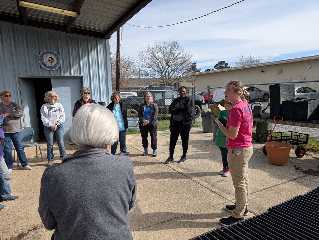The Mobile County Master Gardeners  (MCMG) helping transplant seedlings and getting a closer look at our potting mix.