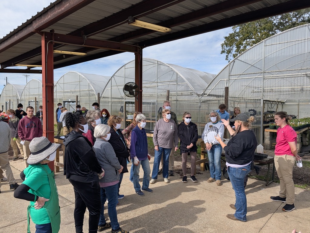 The Mobile County Master Gardeners  (MCMG) helping transplant seedlings and getting a closer look at our potting mix.