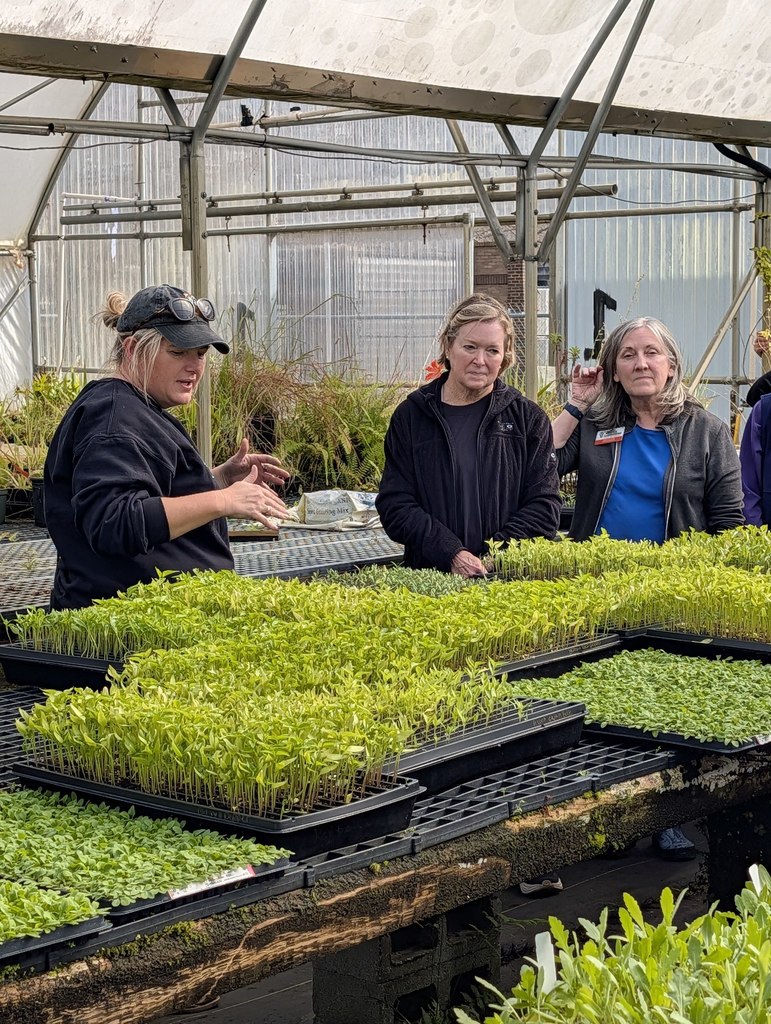 The Mobile County Master Gardeners  (MCMG) helping transplant seedlings and getting a closer look at our potting mix.