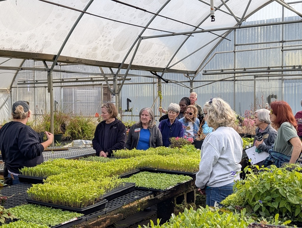 The Mobile County Master Gardeners  (MCMG) helping transplant seedlings and getting a closer look at our potting mix.