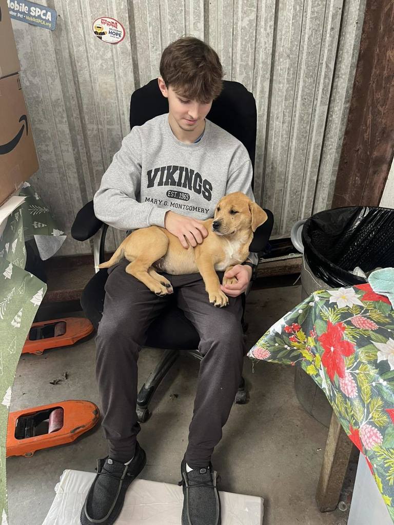 FBLA students volunteering at the Mobile SPCA