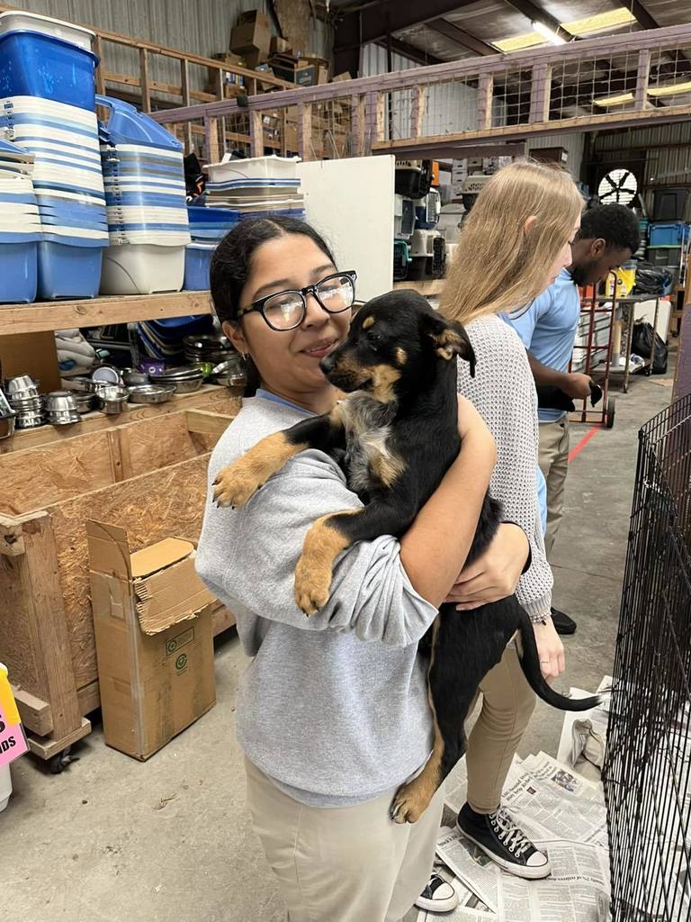 FBLA students volunteering at the Mobile SPCA