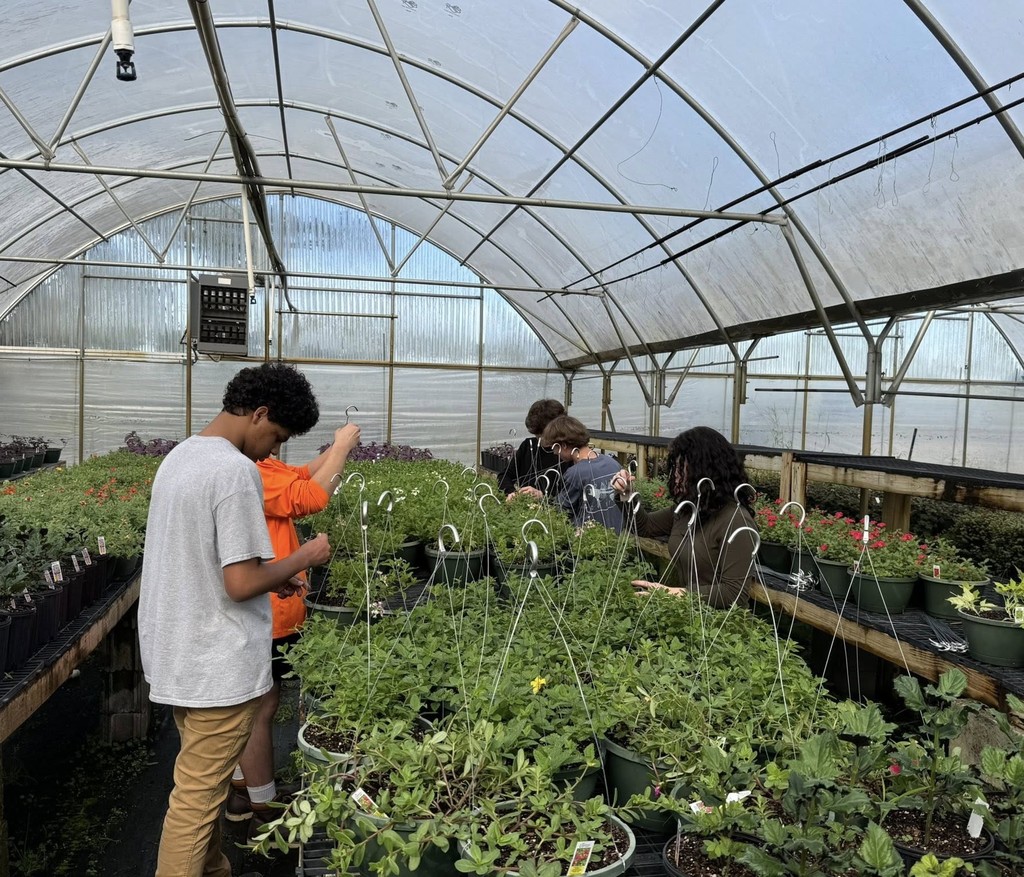 Students working with plants in a greenhouse