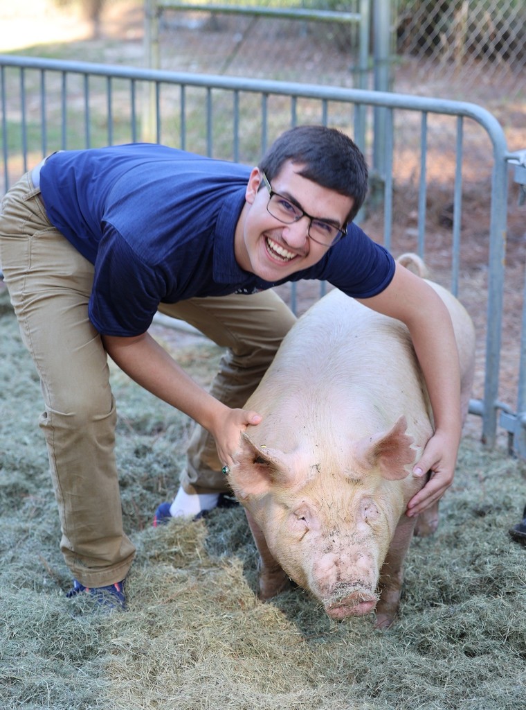 A smiling student with his arms around a hog