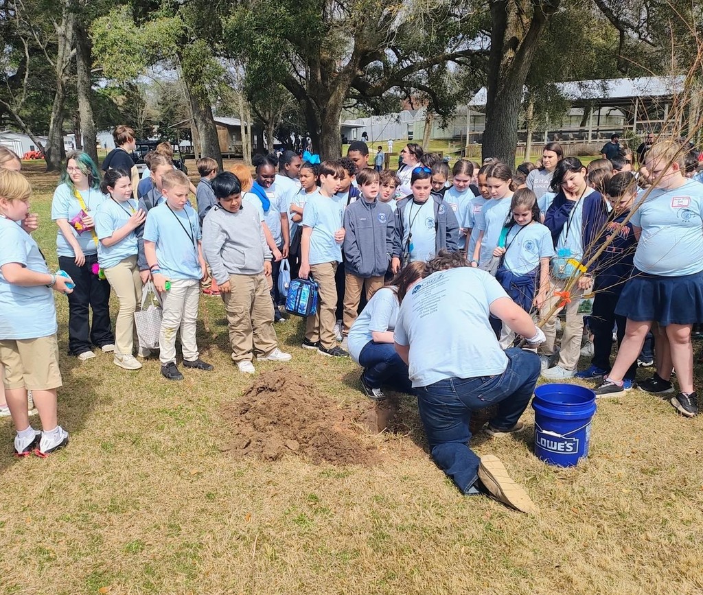 Elementary students watch two people plant a tree