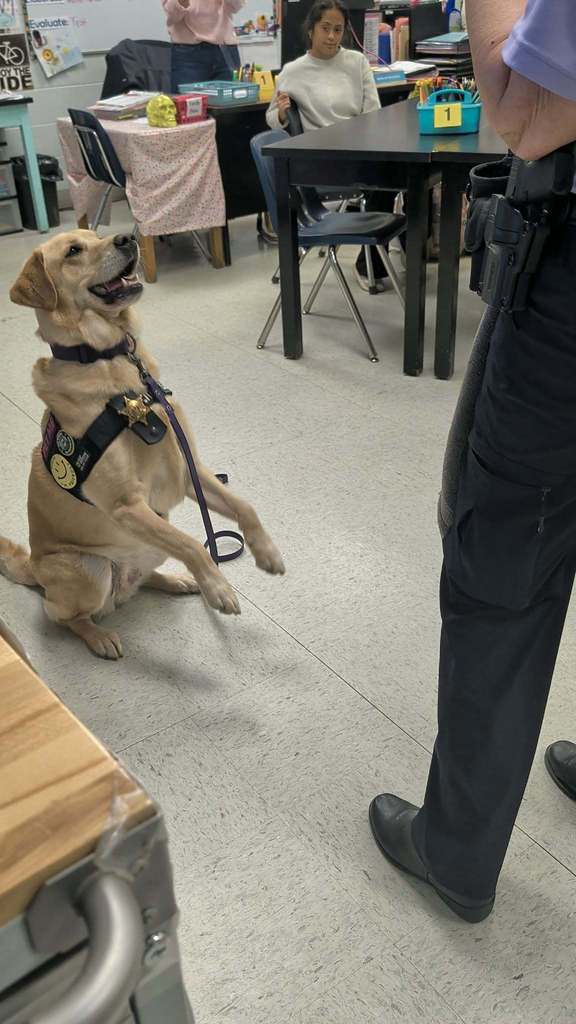 MCSO ESD Detection K9 Estie #103 visits Mrs. Touchstone's Forensics class.