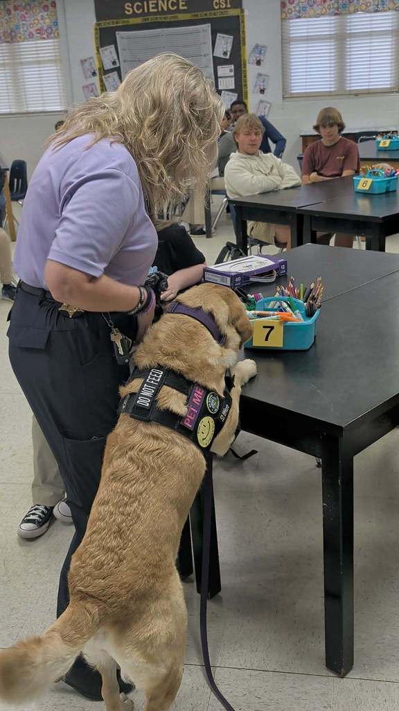 MCSO ESD Detection K9 Estie #103 visits Mrs. Touchstone's Forensics class.