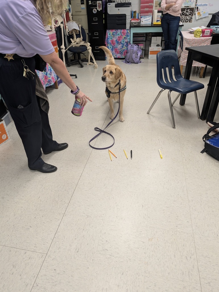 MCSO ESD Detection K9 Estie #103 visits Mrs. Touchstone's Forensics class.