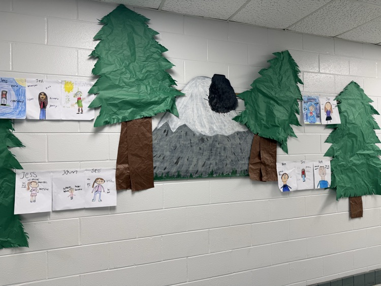 i survived wall display