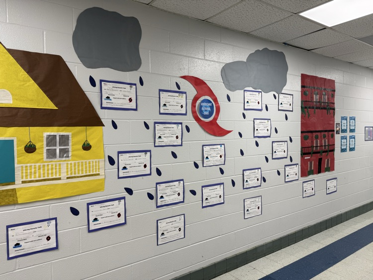 i survived hurricane katrina 2005 display