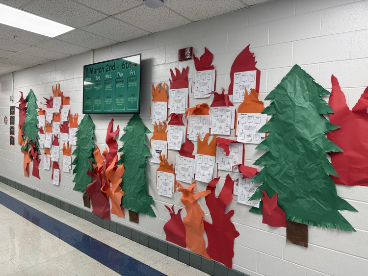 i survived the California wildfires 2018 display