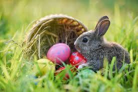 A bunny sits next to some eggs spilling out of a basket on the grass. 