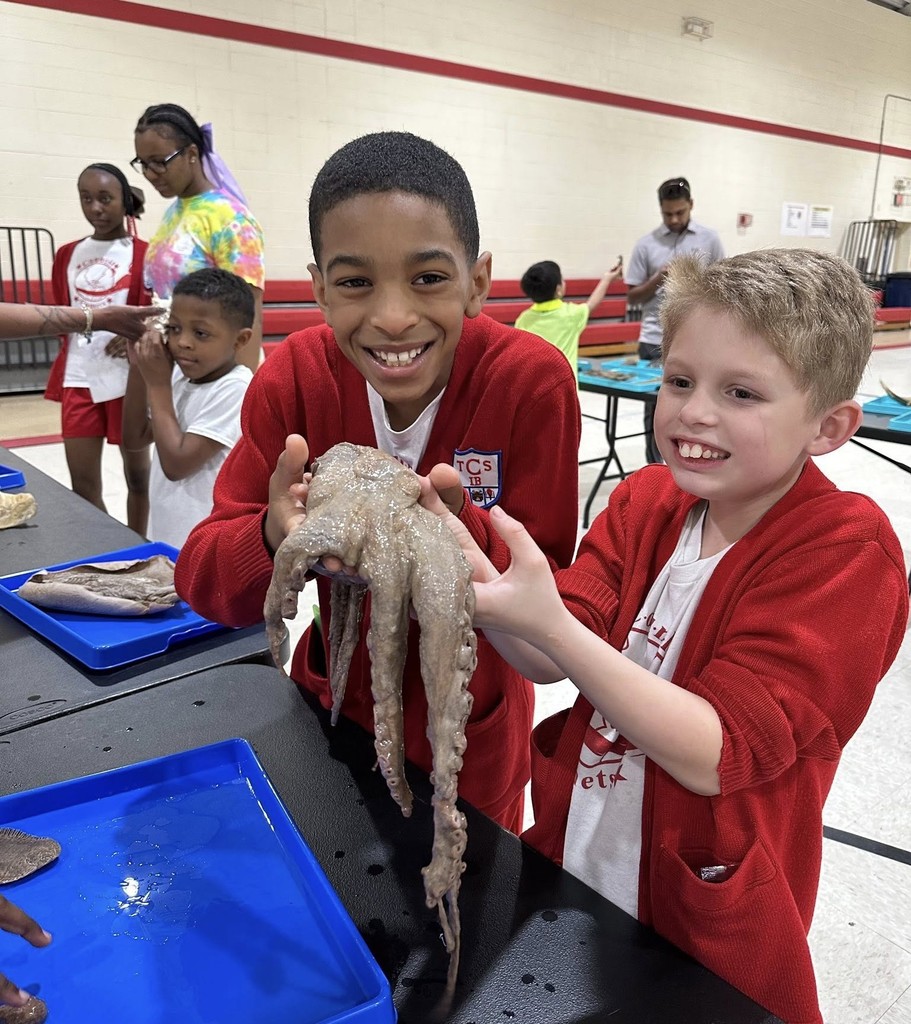 Two boys hold an octopus