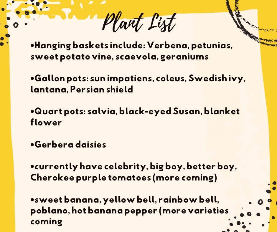 Plant List: Hanging baskets (verbena, petunias, sweet potato vine, scaevola, geraniums), Gallon pots (sun impatiens, coleus, Swedish ivy, lantana, Persian shield), Quart pots (salvia, black-eyed Susan, blanket flower), Gerbera daisies, currently have celebrity, big boy, Cherokee purple tomatoes (more coming), sweet banana peppers, yellow bell, rainbow bell, poblano, hot banana peppers (more varieties coming)