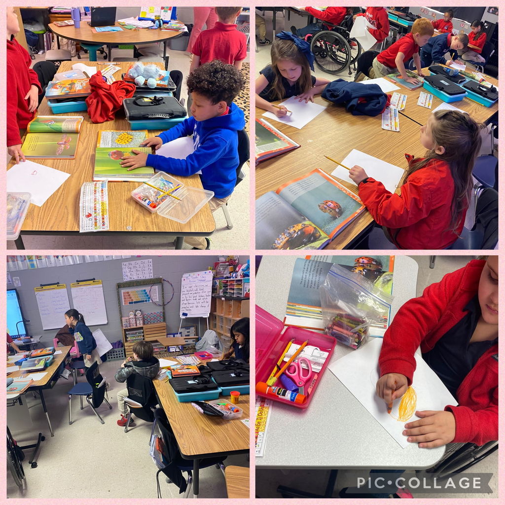 Mrs. Smith's class is learning about the life cycle of a ladybug. Each student drew a stage of the life cycle. The class looked through the illustrations and identified which stage each picture belonged in.