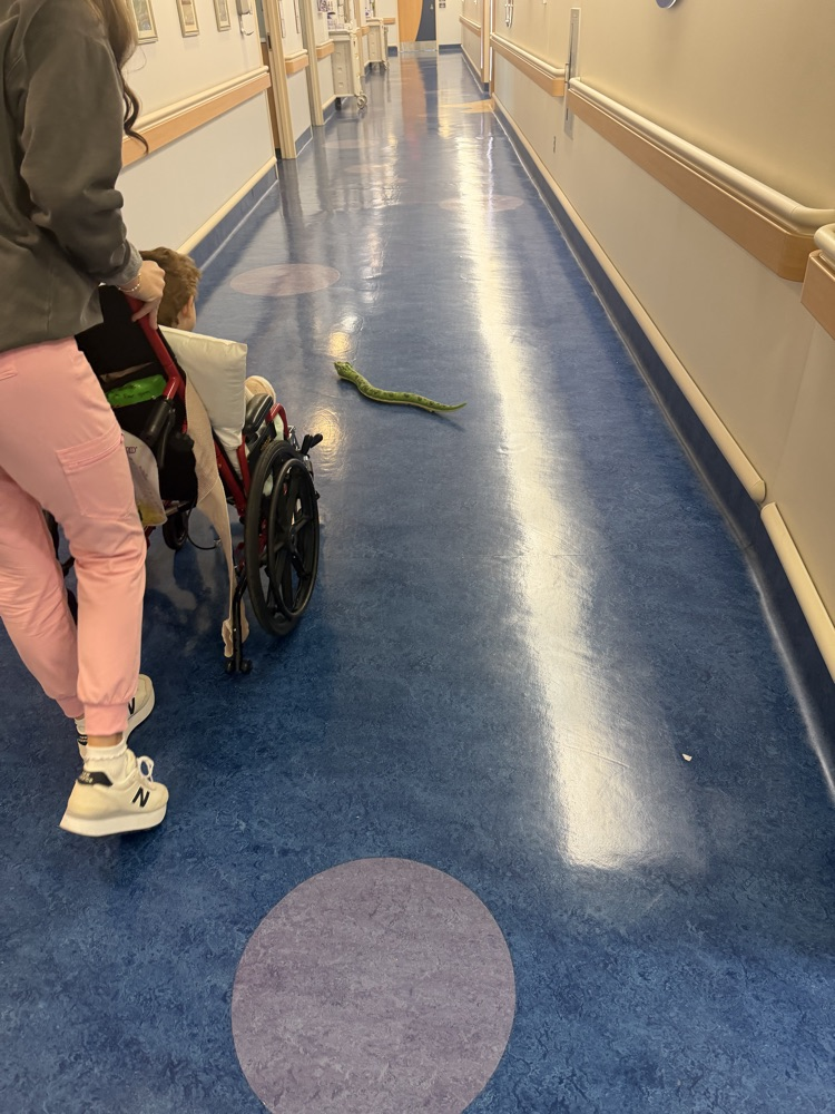 teacher and student in wheelchair with play snake