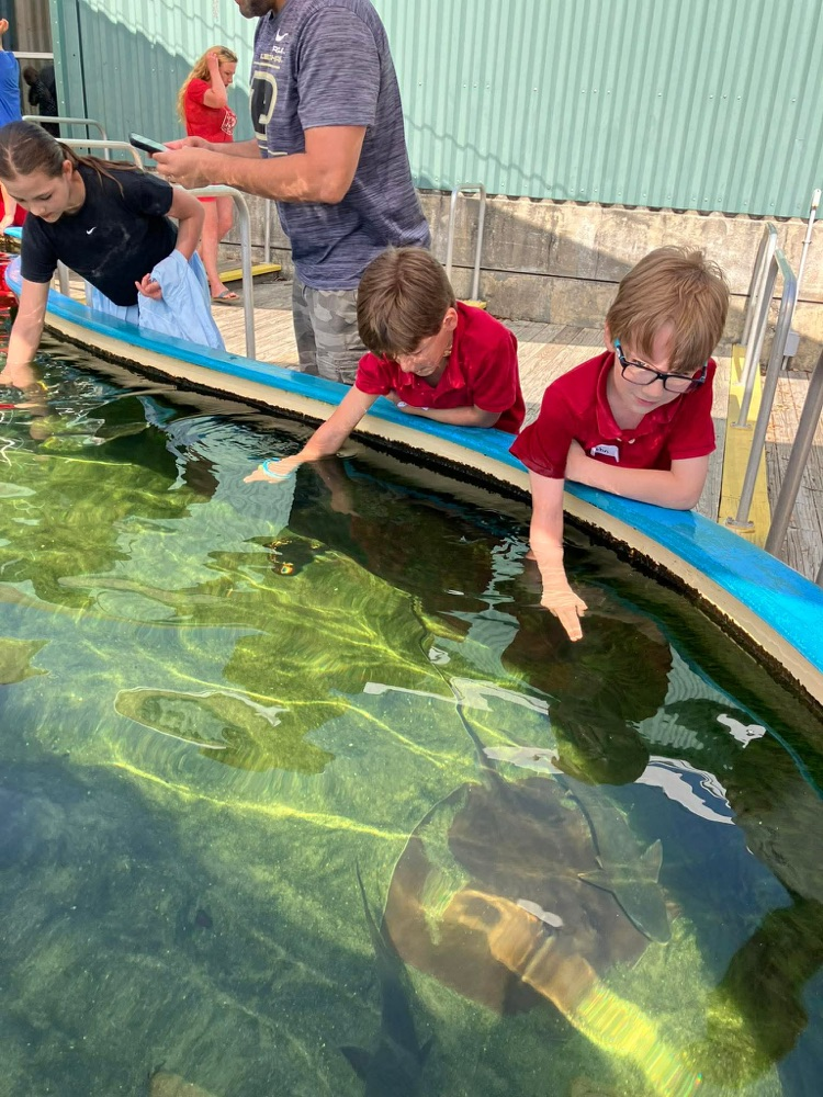 first grade field trip to dauphin island 