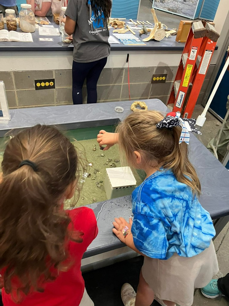 first grade field trip to dauphin island 