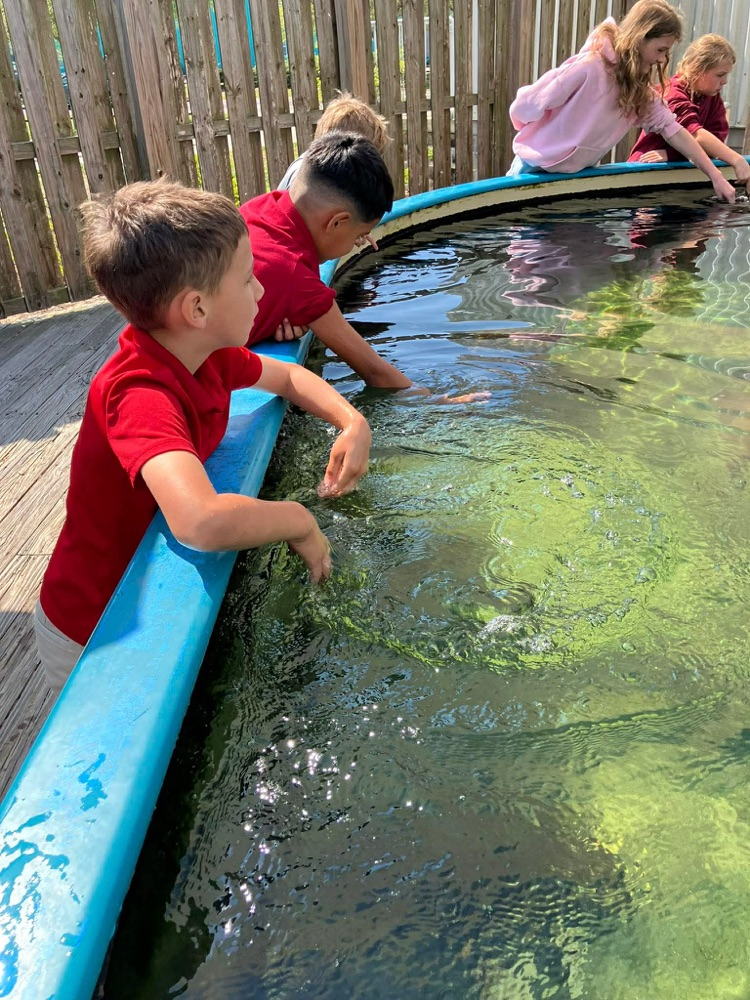 first grade field trip to dauphin island 