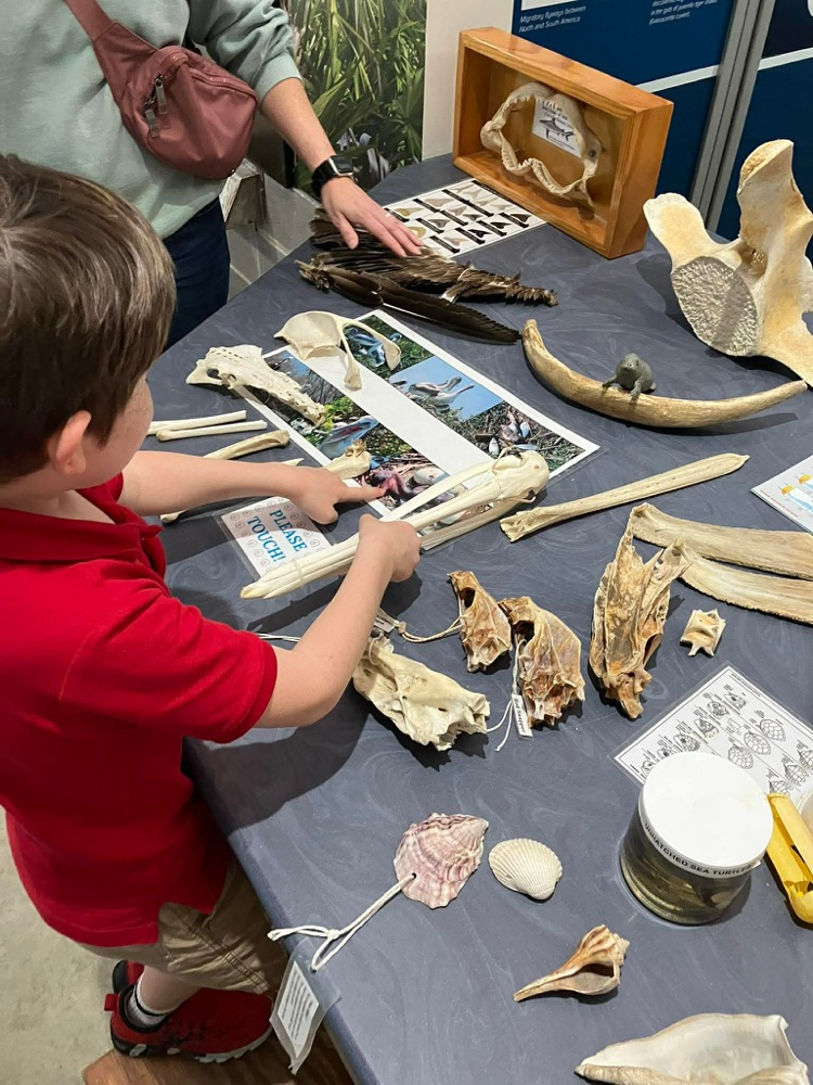 first grade field trip to dauphin island 