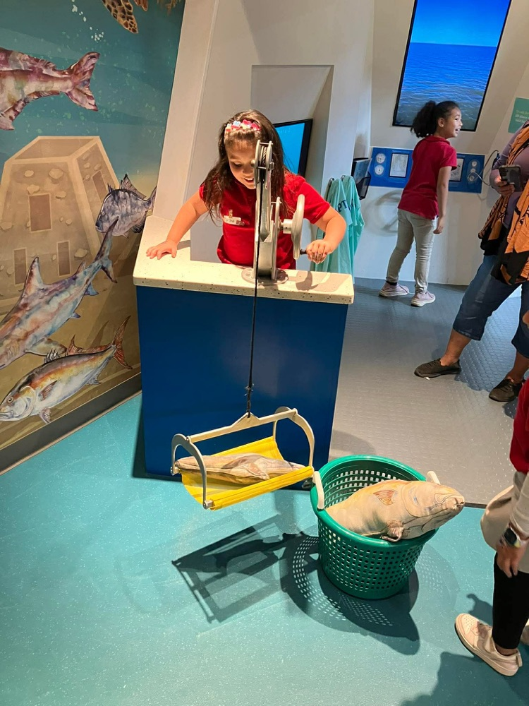 first grade field trip to dauphin island 