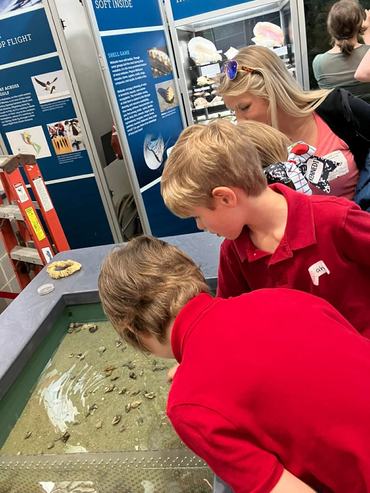 first grade field trip to dauphin island 